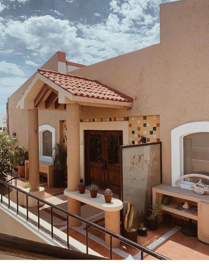 Marisol Hotel Boutique San José del Cabo Buitenkant foto